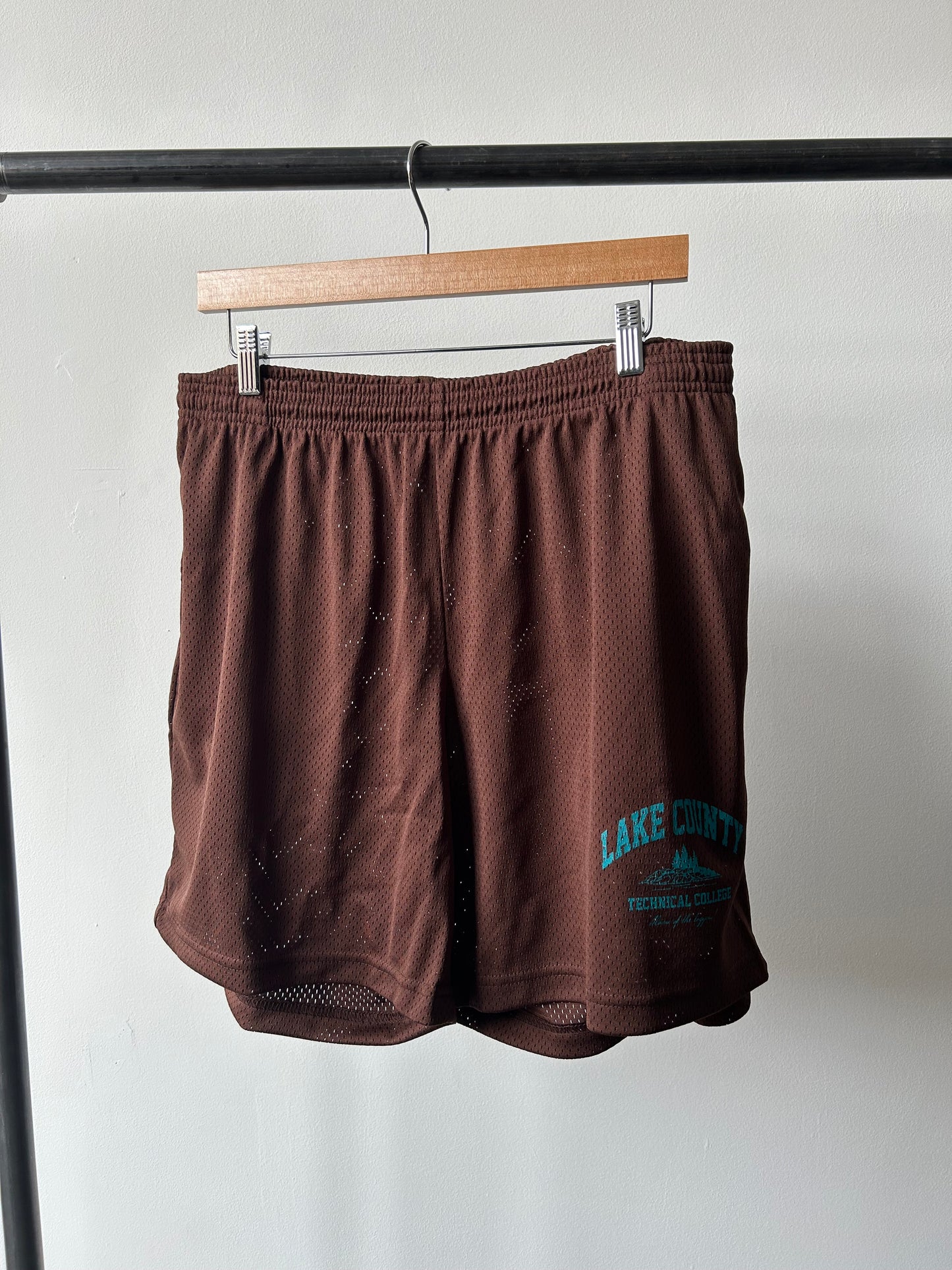 LAKE COUNTY MESH SHORTS (BROWN) (LARGE) [FLEA MARKET]