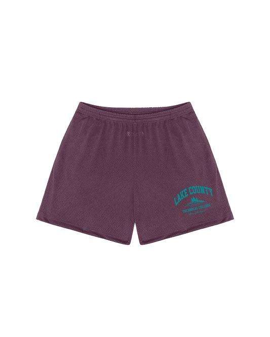LAKE COUNTY TECH MESH SHORTS (BREAKBERRY)