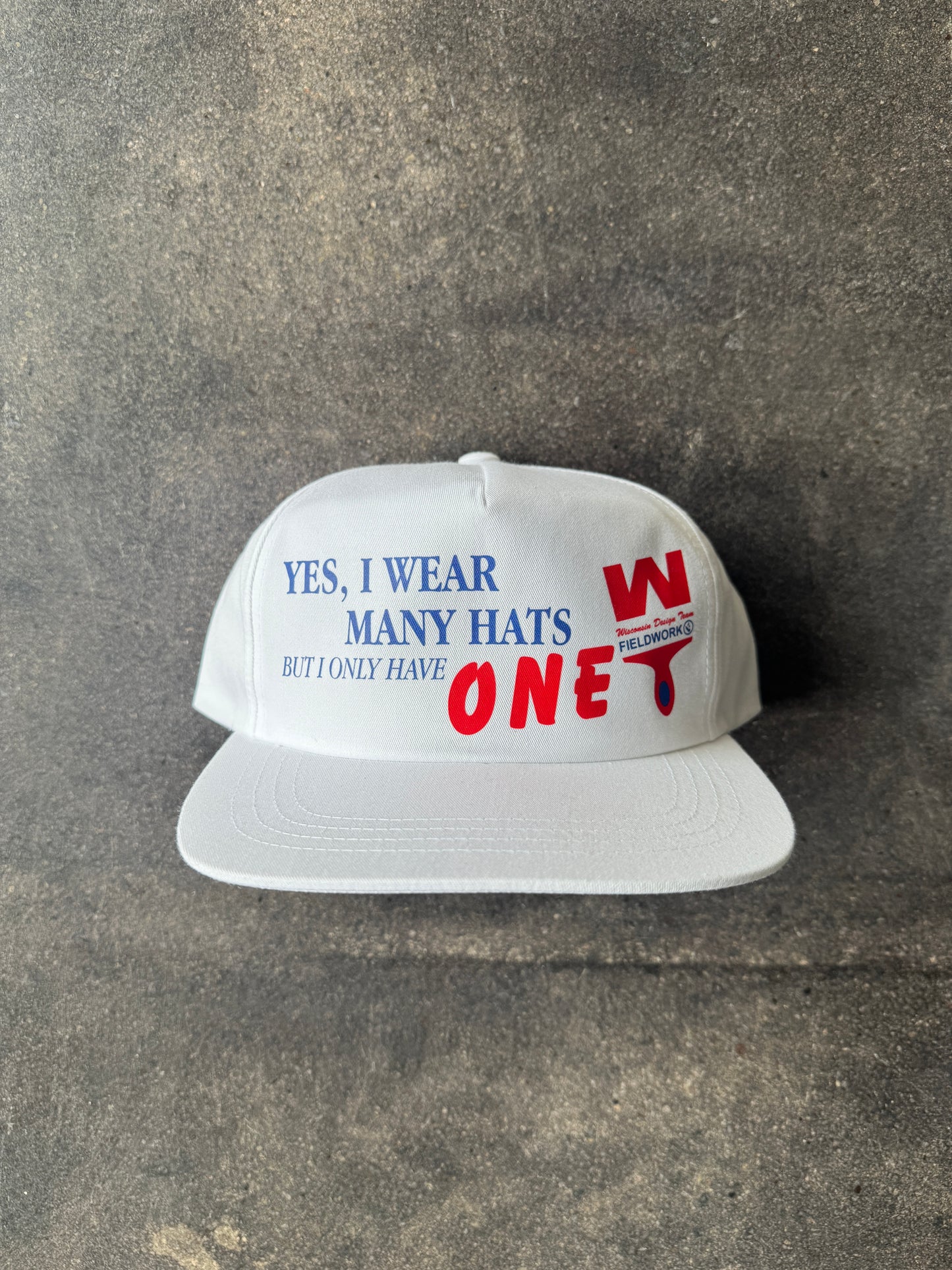 WDT x FIELDWORK PAINTER CAP