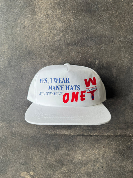 WDT x FIELDWORK PAINTER CAP