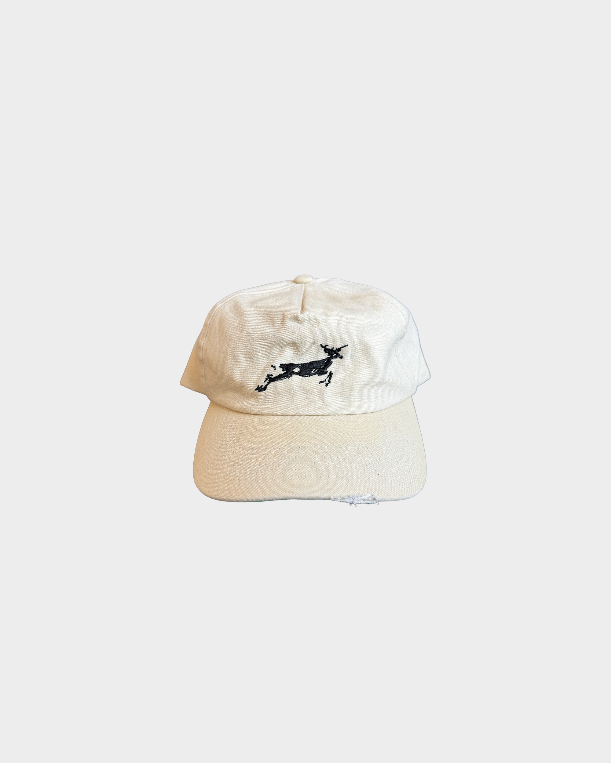 BUCKSHOT CAP
