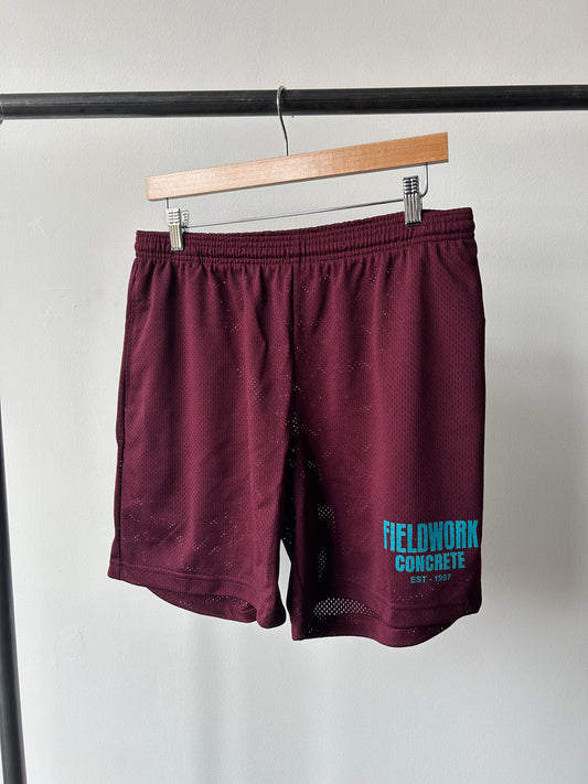 CONCRETE MESH SHORTS (BREAKBERRY) (MEDIUM) [FLEA MARKET]