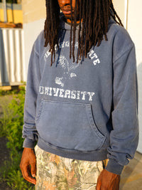 FW LAWN AND GARDEN HOODIE