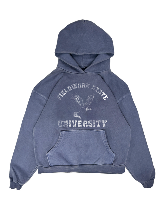 FIELDWORK STATE UNIVERSITY HOODIE