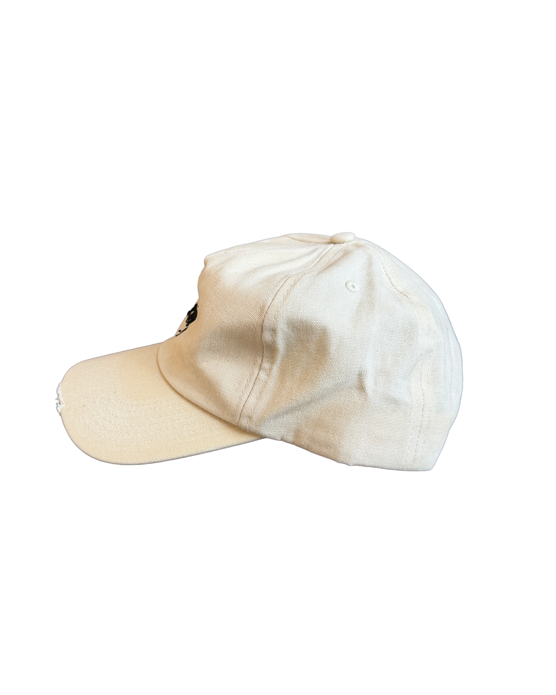 FIELDWORK TRUCKING NYLON CAP